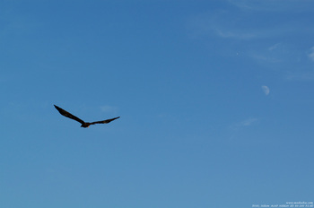 20061204_DSC_0636.jpg