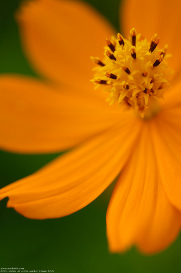 20070829_DSC5638.jpg