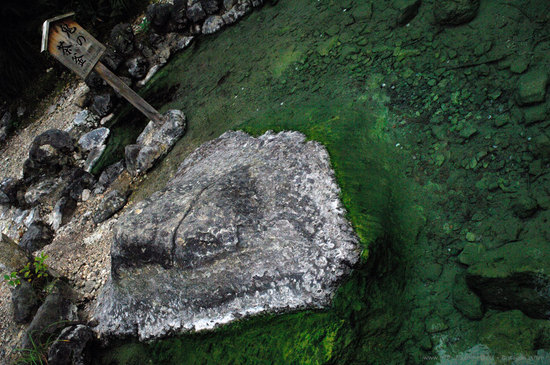 201009_DSC6903.jpg