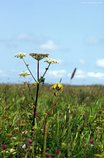 201108_DSC9452.jpg