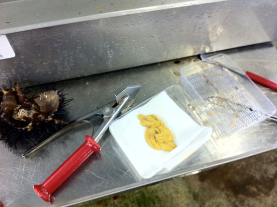 201108_IMG_2537.jpg