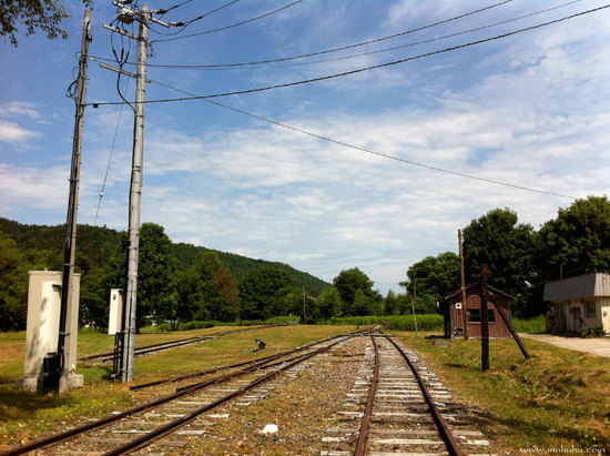 201108_IMG_2979.jpg