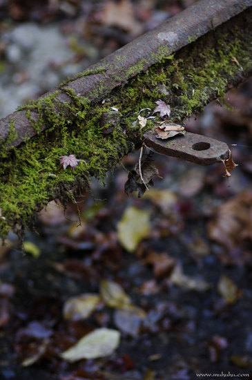 201112_DSC0516.jpg